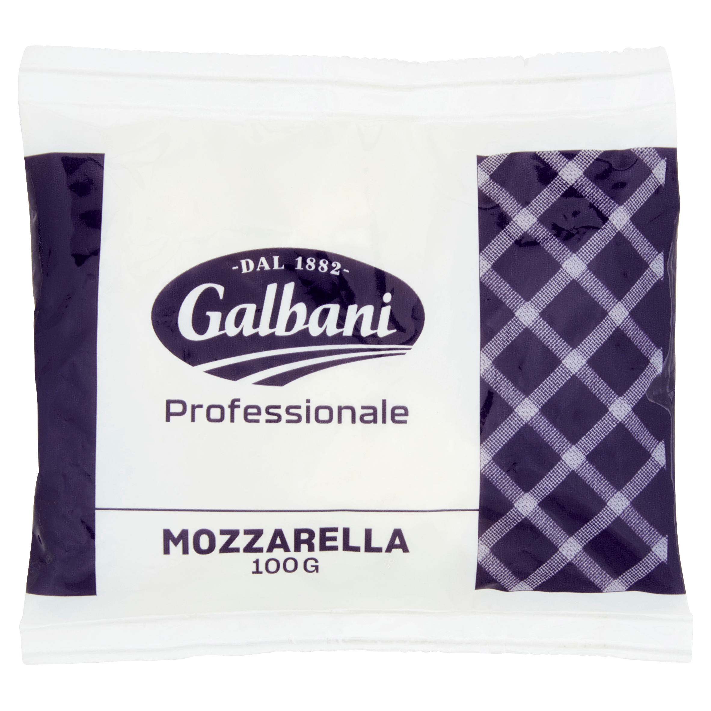 Galbani Professionale Mozzarella 100 g